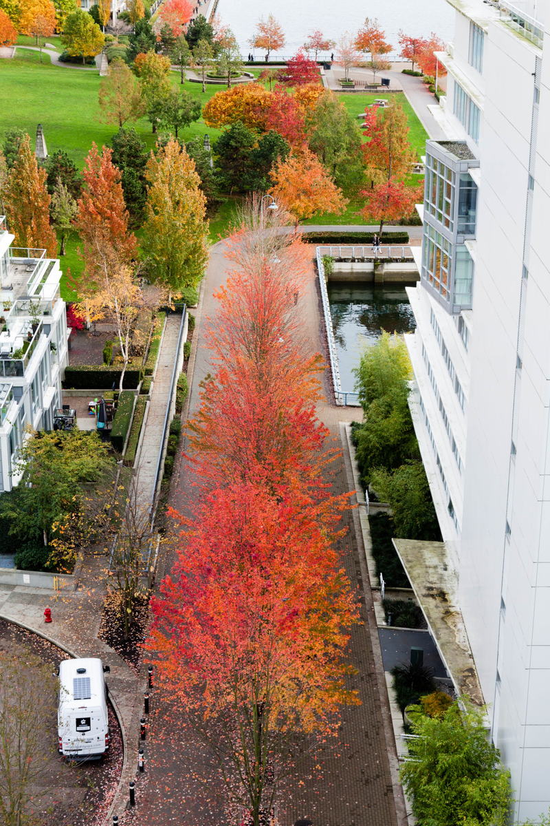 Illustration for article titled Pics from the (Bridge)side: 2016-10-23 Over Granville Street Bridge